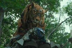 Cena de Transformers: O Despertar das Feras, filme que está com boa nota no IMDB