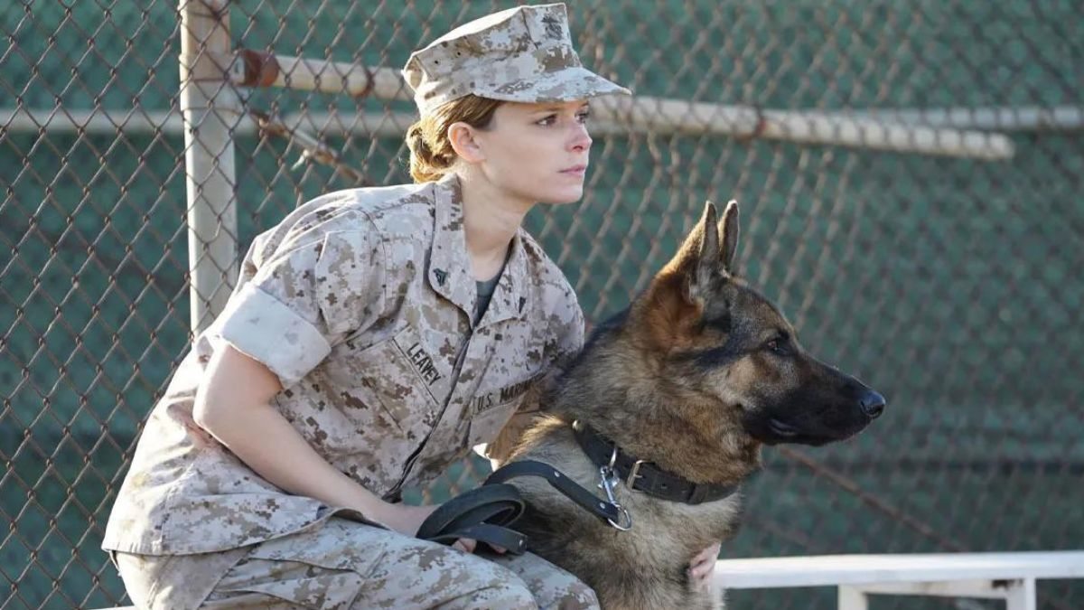 Kate Mara como Megan Leavey no filme da Sessão da Tarde hoje