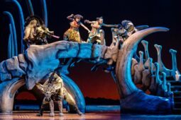 Rei Leão - O Musical