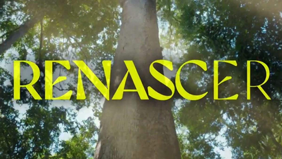 Logo de Renascer (2024), novela da Globo