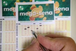 Imagem de pessoa marcando números no volante da Mega-Sena