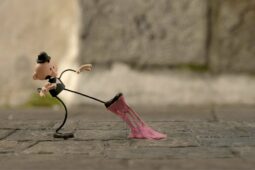 Anima Mundi 2017 celebra 25 anos no centenário da animação brasileira